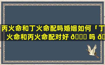 丙火命和丁火命配吗婚姻如何「丁火命和丙火命配对好 🐅 吗 🦄 」